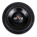 RAVEN 10